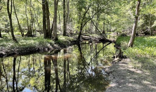 Photo #11 of SOLD property in Off State Highway 13, Florence, SC 92.2 acres