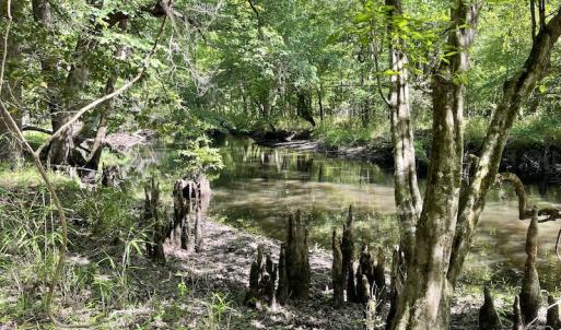 Photo #12 of Off State Highway 13, Florence, SC 92.2 acres