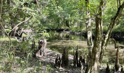 Photo #12 of SOLD property in Off State Highway 13, Florence, SC 92.2 acres