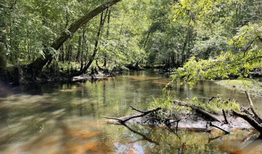 Photo #13 of SOLD property in Off State Highway 13, Florence, SC 92.2 acres