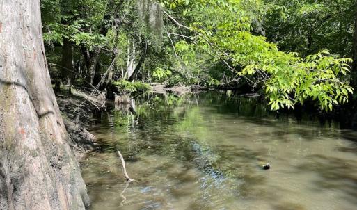 Photo #14 of SOLD property in Off State Highway 13, Florence, SC 92.2 acres