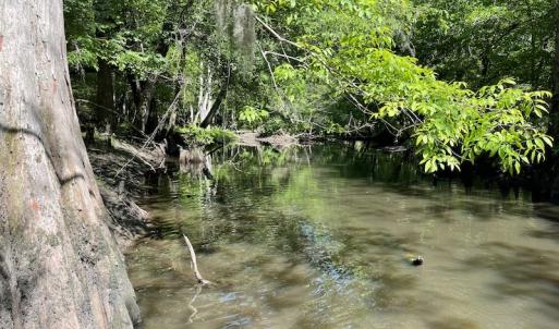 Photo #14 of Off State Highway 13, Florence, SC 92.2 acres