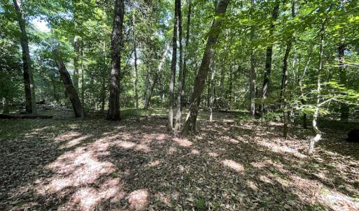Photo #16 of Off State Highway 13, Florence, SC 92.2 acres