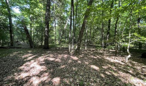 Photo #16 of SOLD property in Off State Highway 13, Florence, SC 92.2 acres