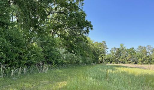 Photo #21 of SOLD property in Off State Highway 13, Florence, SC 92.2 acres