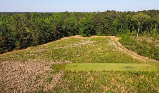 Photo #22 of SOLD property in Off State Highway 13, Florence, SC 92.2 acres