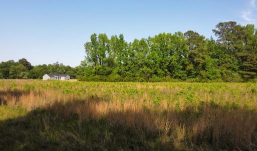 Photo #23 of SOLD property in Off State Highway 13, Florence, SC 92.2 acres