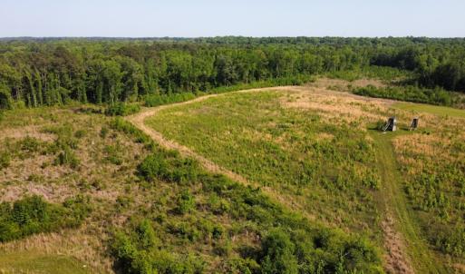 Photo #24 of SOLD property in Off State Highway 13, Florence, SC 92.2 acres