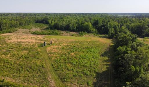 Photo #25 of SOLD property in Off State Highway 13, Florence, SC 92.2 acres