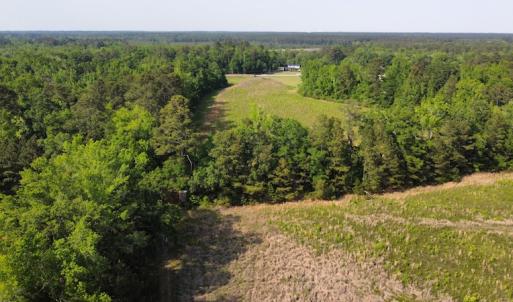 Photo #26 of SOLD property in Off State Highway 13, Florence, SC 92.2 acres