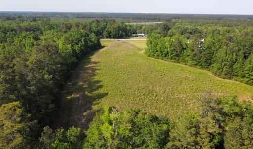 Photo #27 of SOLD property in Off State Highway 13, Florence, SC 92.2 acres