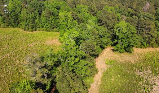 Photo #28 of SOLD property in Off State Highway 13, Florence, SC 92.2 acres