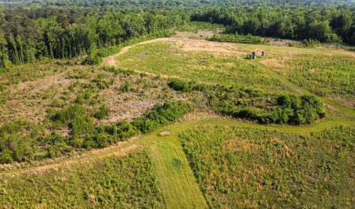 Photo #29 of SOLD property in Off State Highway 13, Florence, SC 92.2 acres