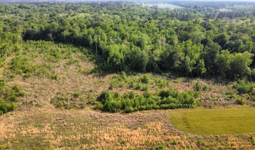 Photo #31 of SOLD property in Off State Highway 13, Florence, SC 92.2 acres