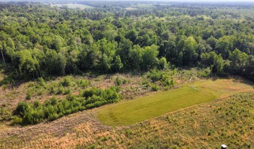 Photo #32 of SOLD property in Off State Highway 13, Florence, SC 92.2 acres