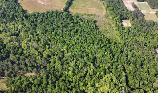 Photo #34 of Off State Highway 13, Florence, SC 92.2 acres