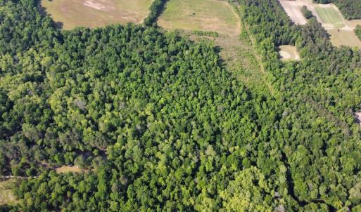 Photo #34 of SOLD property in Off State Highway 13, Florence, SC 92.2 acres