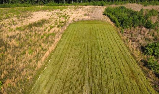 Photo #35 of SOLD property in Off State Highway 13, Florence, SC 92.2 acres
