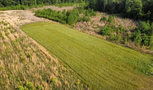 Photo #36 of SOLD property in Off State Highway 13, Florence, SC 92.2 acres
