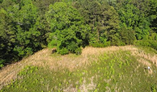 Photo #39 of SOLD property in Off State Highway 13, Florence, SC 92.2 acres