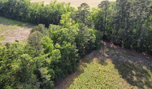 Photo #41 of SOLD property in Off State Highway 13, Florence, SC 92.2 acres