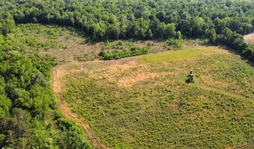Photo #43 of SOLD property in Off State Highway 13, Florence, SC 92.2 acres