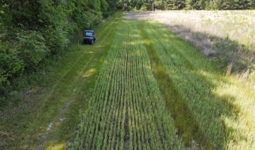 Photo #44 of SOLD property in Off State Highway 13, Florence, SC 92.2 acres