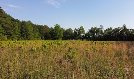 Photo #45 of SOLD property in Off State Highway 13, Florence, SC 92.2 acres