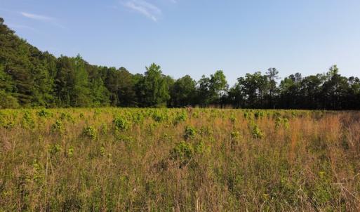 Photo #45 of Off State Highway 13, Florence, SC 92.2 acres