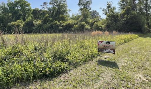 Photo #46 of SOLD property in Off State Highway 13, Florence, SC 92.2 acres