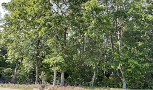 Photo #50 of SOLD property in Off State Highway 13, Florence, SC 92.2 acres