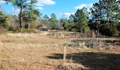 Photo #8 of SOLD property in Off US 17 / Harriet Lane, Pollocksville, NC 5.1 acres