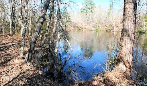 Photo #9 of SOLD property in Off US 17 / Harriet Lane, Pollocksville, NC 5.1 acres