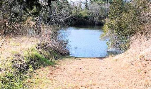 Photo #10 of SOLD property in Off US 17 / Harriet Lane, Pollocksville, NC 5.1 acres