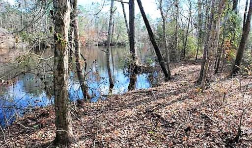 Photo #11 of SOLD property in Off US 17 / Harriet Lane, Pollocksville, NC 5.1 acres