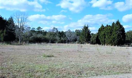 Photo #12 of SOLD property in Off US 17 / Harriet Lane, Pollocksville, NC 5.1 acres