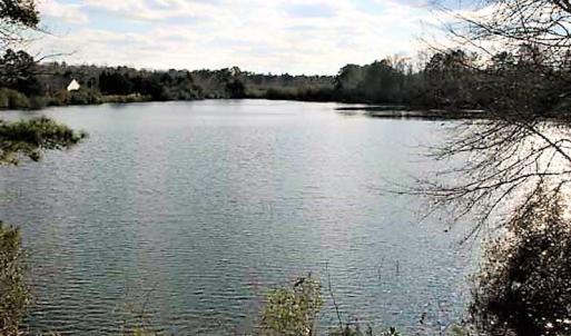Photo #14 of SOLD property in Off US 17 / Harriet Lane, Pollocksville, NC 5.1 acres