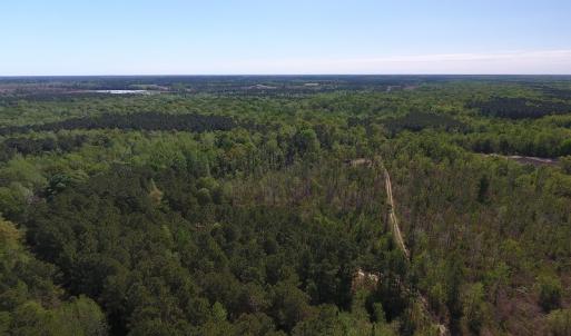 Photo #11 of NC 210 Hwy W, Garland, NC 166.0 acres