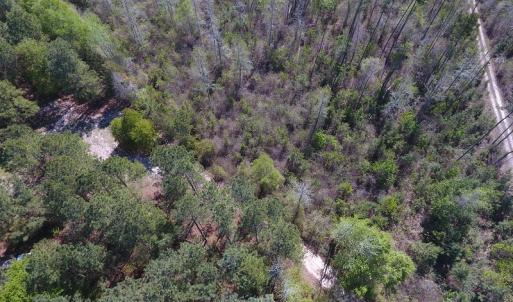 Photo #12 of NC 210 Hwy W, Garland, NC 166.0 acres