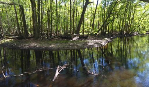 Photo #13 of NC 210 Hwy W, Garland, NC 166.0 acres