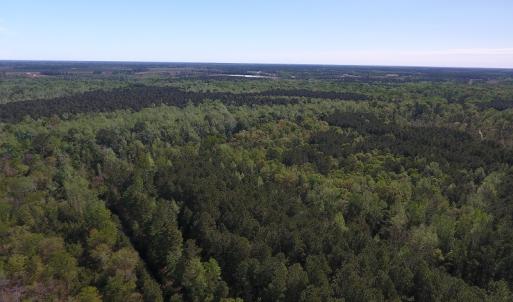 Photo #14 of NC 210 Hwy W, Garland, NC 166.0 acres