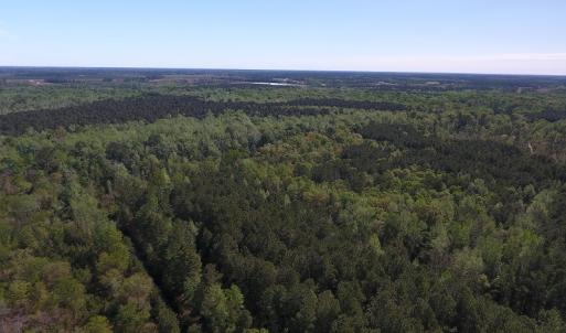 Photo #14 of NC 210 Hwy W, Garland, NC 166.0 acres