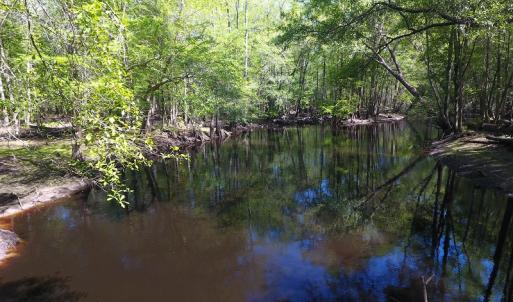 Photo #15 of NC 210 Hwy W, Garland, NC 166.0 acres