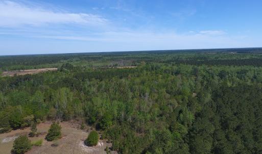 Photo #16 of NC 210 Hwy W, Garland, NC 166.0 acres
