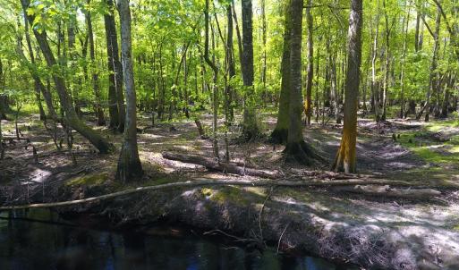 Photo #17 of NC 210 Hwy W, Garland, NC 166.0 acres