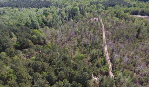 Photo #18 of NC 210 Hwy W, Garland, NC 166.0 acres