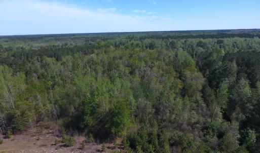 Photo #3 of NC 210 Hwy W, Garland, NC 166.0 acres