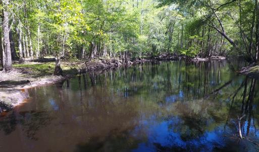 Photo #5 of NC 210 Hwy W, Garland, NC 166.0 acres