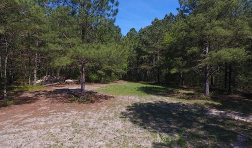 Photo #6 of NC 210 Hwy W, Garland, NC 166.0 acres