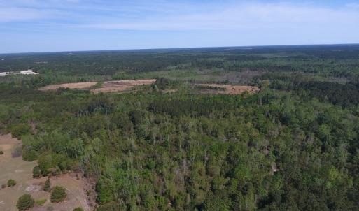 Photo #7 of NC 210 Hwy W, Garland, NC 166.0 acres